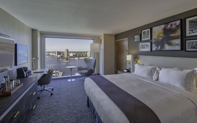 Hilton Norfolk The Main