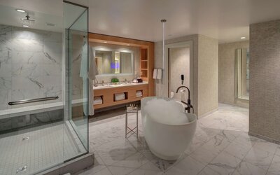 Hilton Norfolk The Main