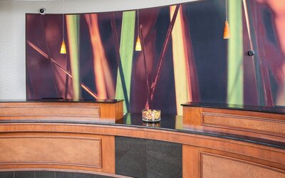 SpringHill Suites by Marriott Norfolk Virginia Beach