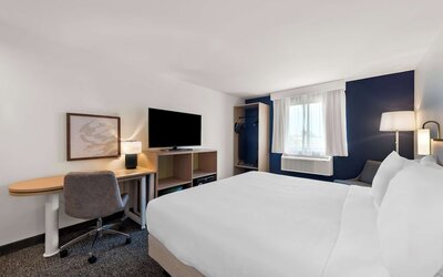 Spark by Hilton Norfolk