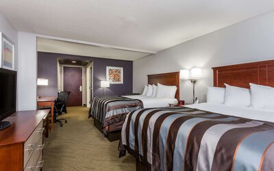 Wingate by Wyndham Chesapeake