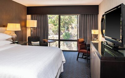 Sheraton Mission Valley San Diego Hotel
