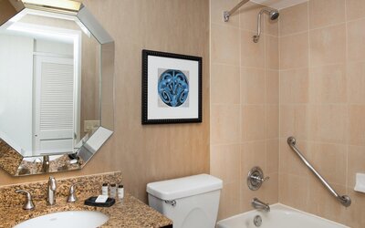 Sheraton Mission Valley San Diego Hotel