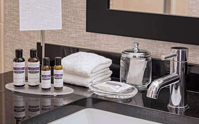 Hyatt Regency Mission Bay Spa and Marina