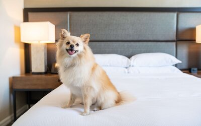 DoubleTree by Hilton Hotel San Diego - Mission Valley
