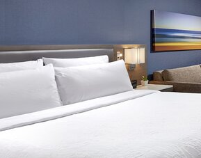 Hilton Garden Inn San Diego Mission Valley Stadium