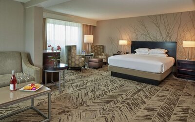 Hilton Cincinnati Airport