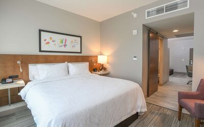 Room, 1 King Bed, Accessible (3x3 Shower)
