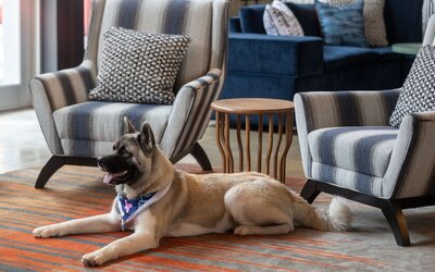 Aloft Beachwood