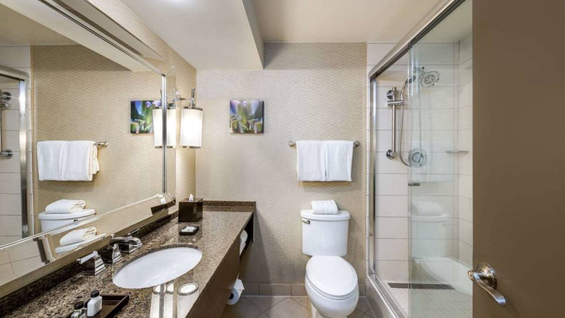 Sonesta White Plains Downtown guest bathroom including shower, lavatory, sink, and mirror.
