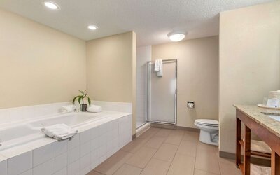 Comfort Inn Blythewood - North Columbia