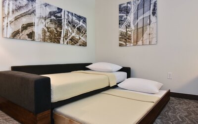SpringHill Suites by Marriott Columbia Downtown/The Vista
