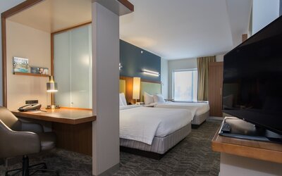 SpringHill Suites by Marriott Columbia Downtown/The Vista