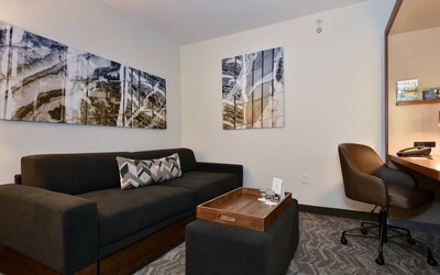 SpringHill Suites by Marriott Columbia Downtown/The Vista