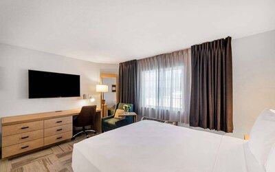 Sonesta Simply Suites Austin South double bed guest room, featuring window and TV, plus a workspace desk, chair, and lamp.