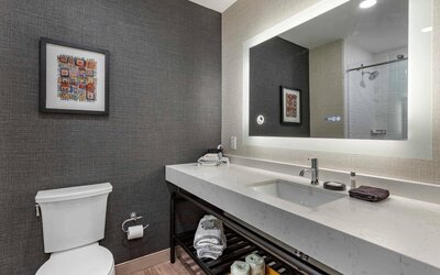 Cambria Hotel Columbia Downtown The Vista