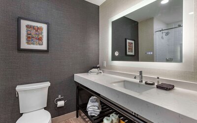 Cambria Hotel Columbia Downtown The Vista
