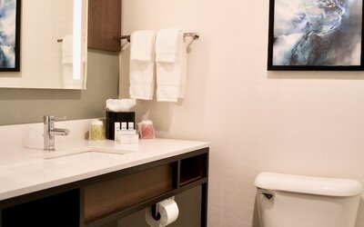 Hilton Garden Inn Columbus/Grove City