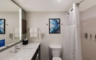 Hilton Garden Inn Columbus/Grove City