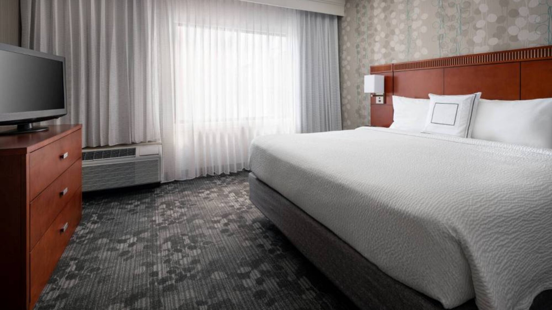 Double bed guest room in Sonesta Select Phoenix Camelback, featuring window and widescreen television.