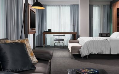 Classic Room, 1 King Bed (Mobility/Hearing Access, Roll-In Shwr)