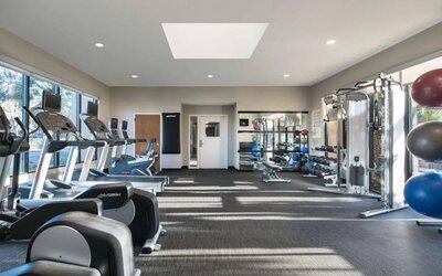 Fitness center equipped with free weights, gym balls, a TV, and various exercise machines at Sonesta Select Los Angeles LAX El Segundo.