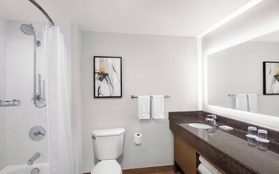 Delta Hotels by Marriott Anaheim Garden Grove