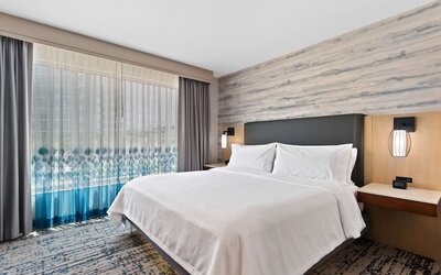 Embassy Suites by Hilton Anaheim South