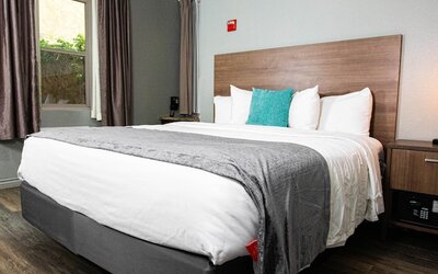 Urban Boutique Hotel