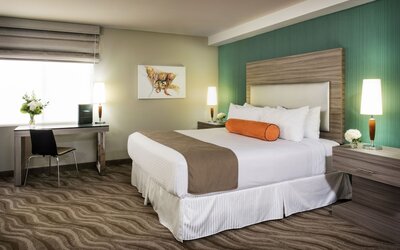 Porto Vista Hotel Downtown