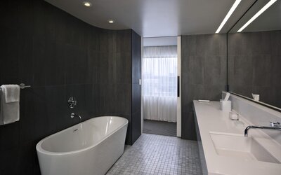 The Statler Dallas Curio Collection By Hilton