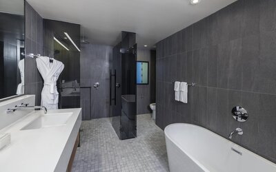 The Statler Dallas Curio Collection By Hilton