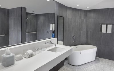 The Statler Dallas Curio Collection By Hilton