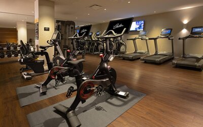 The Statler Dallas Curio Collection By Hilton