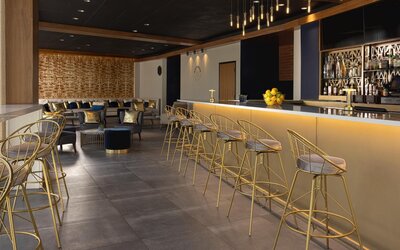 The Statler Dallas Curio Collection By Hilton