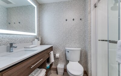 Home2 Suites by Hilton Dallas Medical District Lovefield