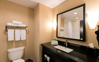 Comfort Inn & Suites Dallas Medical - Market Center