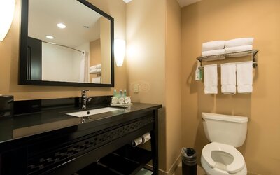 Comfort Inn & Suites Dallas Medical - Market Center