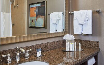 DoubleTree by Hilton Dallas - Market Center