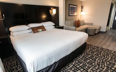 Wingate by Wyndham Dallas Love Field