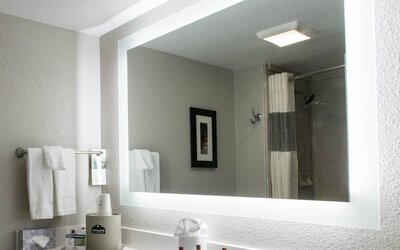 Wingate by Wyndham Dallas Love Field