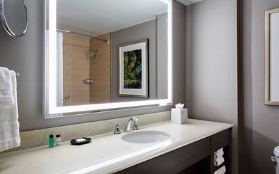 Sheraton Dallas Hotel