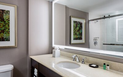 Sheraton Dallas Hotel