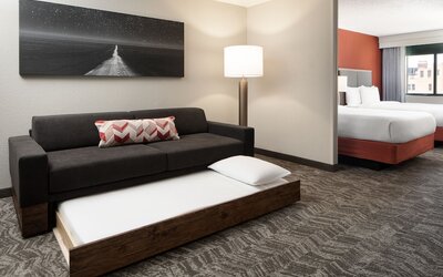 SpringHill Suites Dallas Downtown / West End