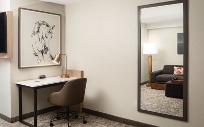 SpringHill Suites Dallas Downtown / West End