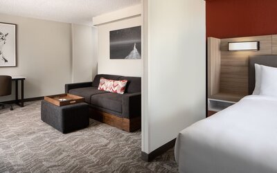 SpringHill Suites Dallas Downtown / West End