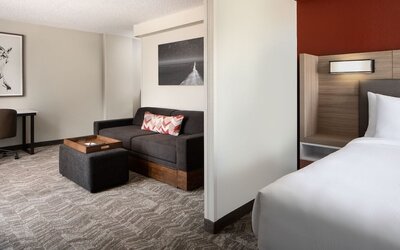 SpringHill Suites Dallas Downtown / West End