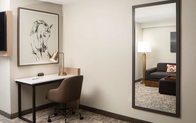 SpringHill Suites Dallas Downtown / West End