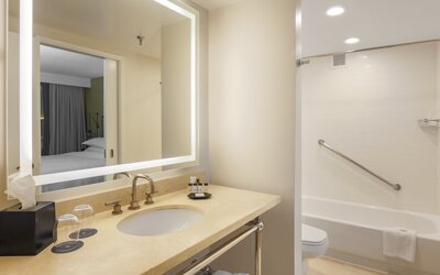 Sheraton Suites Market Center Dallas