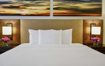 Hilton Dallas/Park Cities